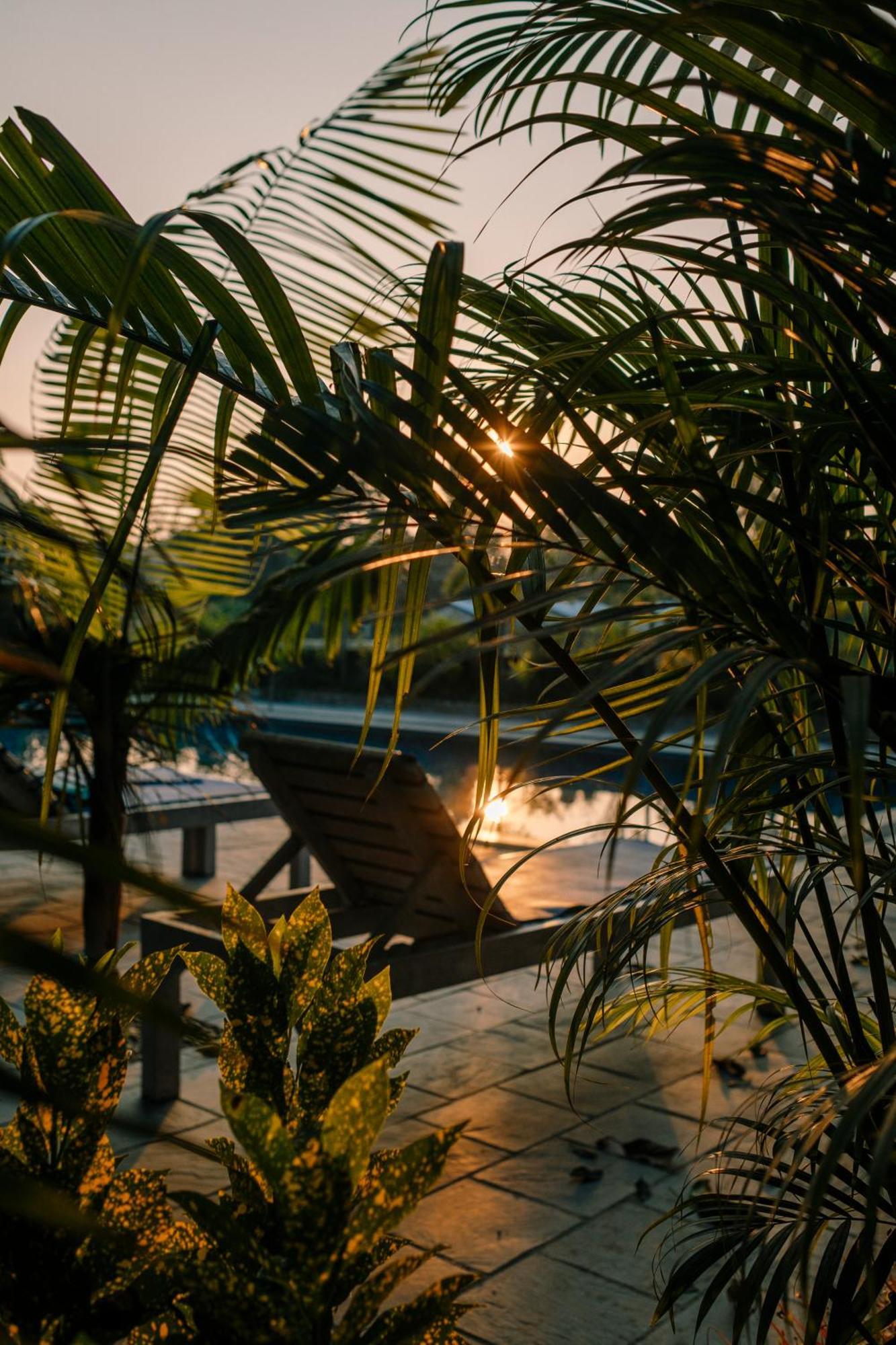 Hotel Parkside & Swimming Pool-Between Greenery And Azure ,Your Perfect Retreat Chitwan Exteriér fotografie